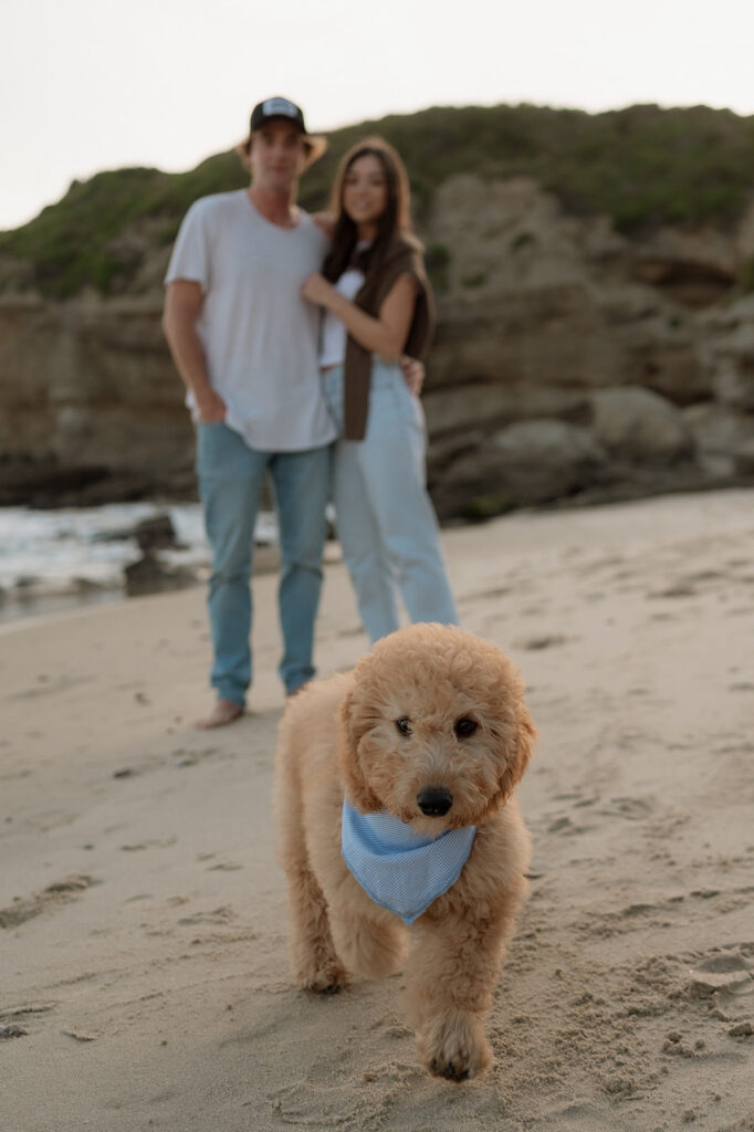 cute couples photoshoot in laguna beach 