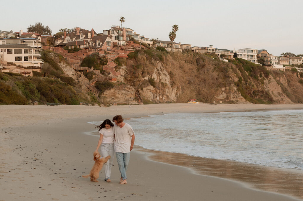 cute picture of the couple and their beautiful dog at the beach 