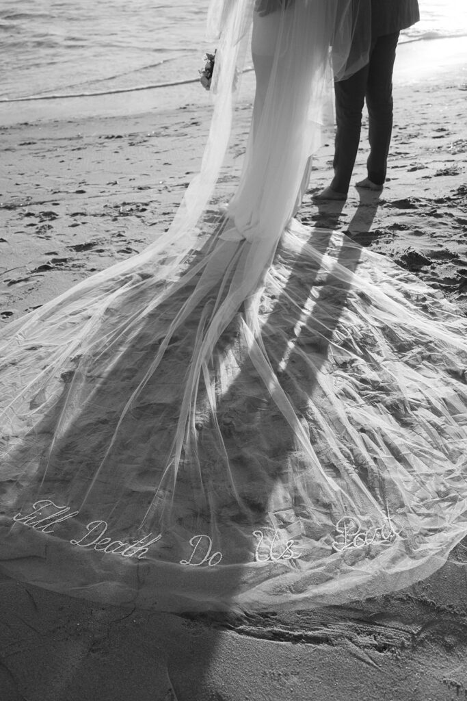 stunning wedding dress veil 