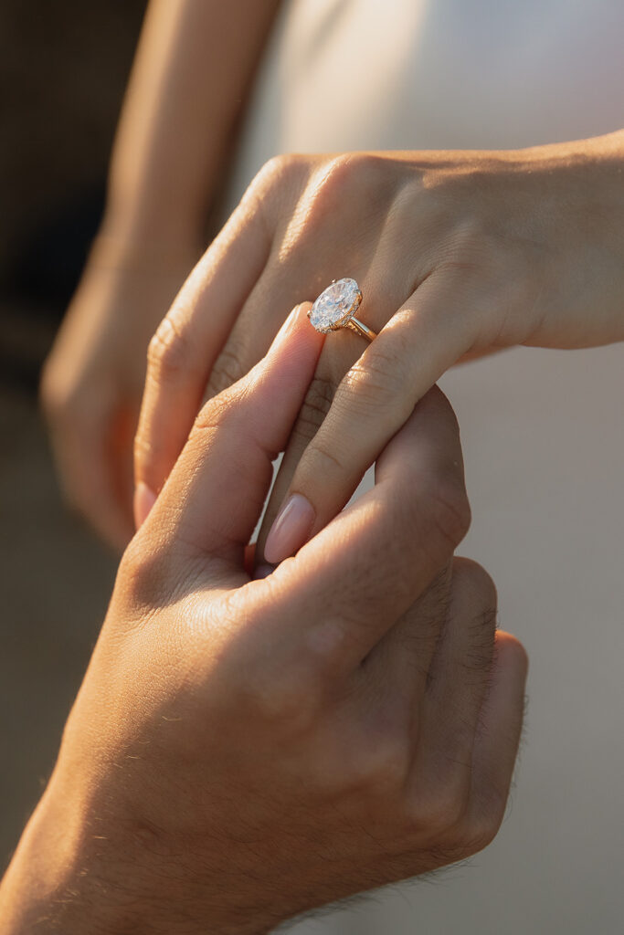 stunning closeup shot of the engagement ring